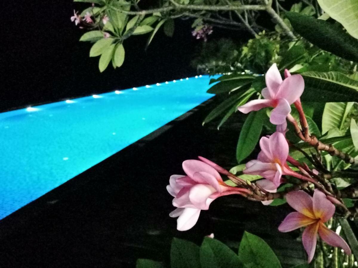 50 M² Dengan 1 Bilik Tidur Dan 1 Bilik Mandi Peribadi Di Raya